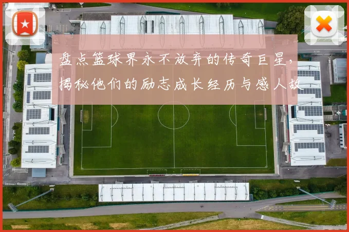 盘点篮球界永不放弃的传奇巨星，揭秘他们的励志成长经历与感人故事